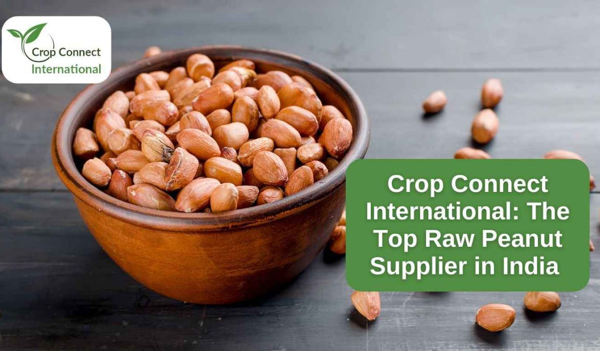 Crop Connect International- The Top Raw Peanut Supplier in India