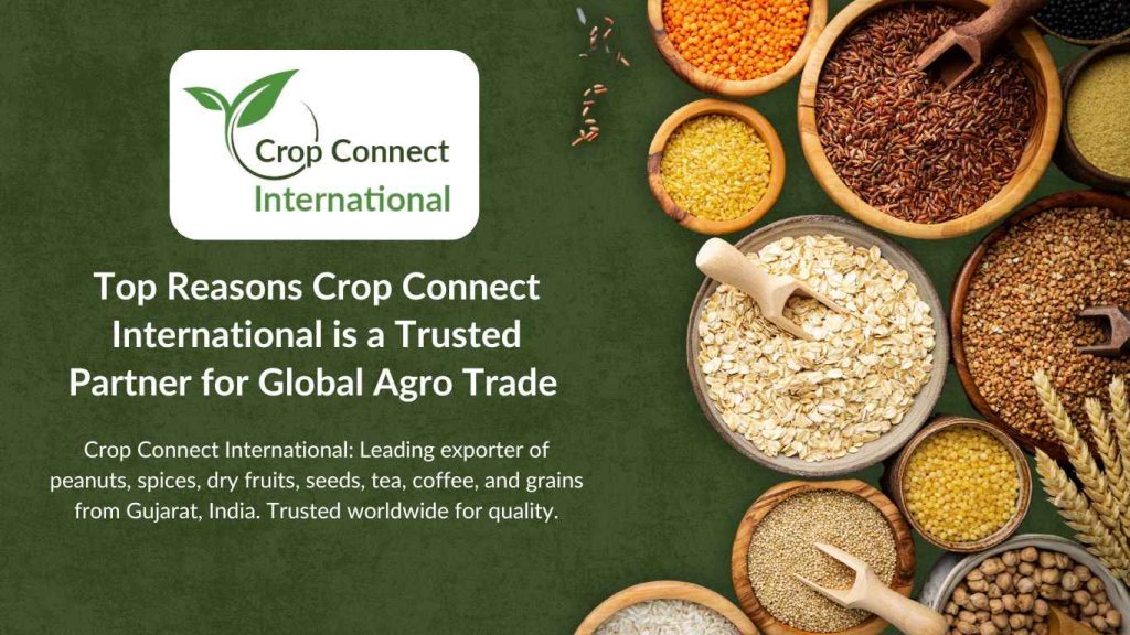 Top Reasons Crop Connect International is a Trusted Partner for Global Agro Trade