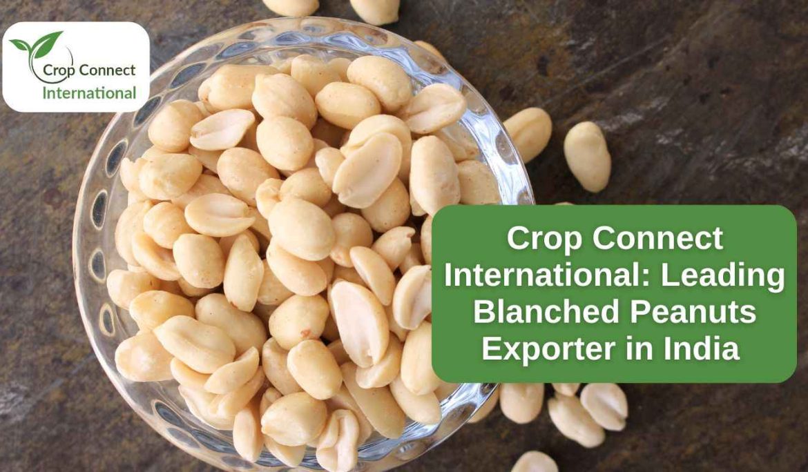 Crop Connect International- Leading Blanched Peanuts Exporter in India