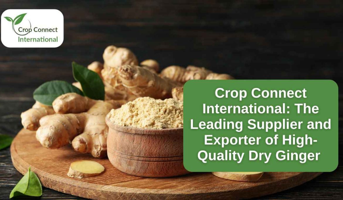 Crop Connect International- The Leading Supplier and Exporter of High-Quality Dry Ginger