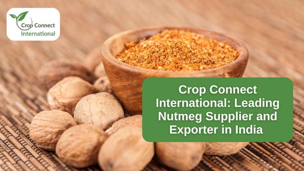 Crop Connect International- Leading Nutmeg Supplier and Exporter in India