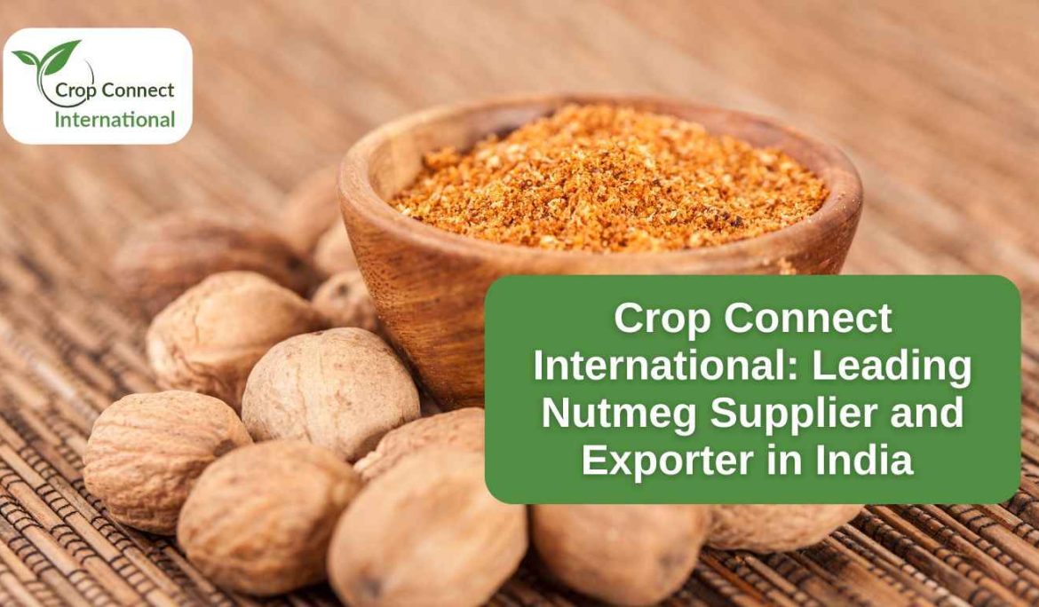 Crop Connect International- Leading Nutmeg Supplier and Exporter in India